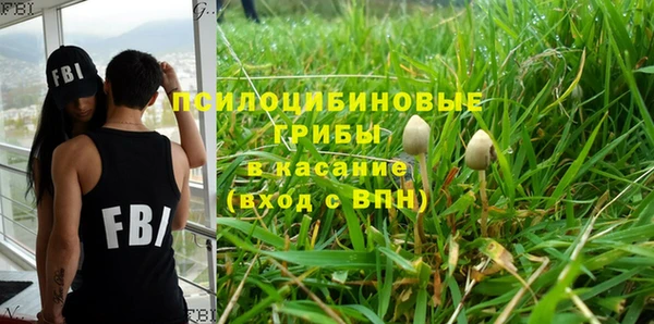 PSILOCYBIN Горно-Алтайск