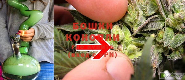PSILOCYBIN Горно-Алтайск