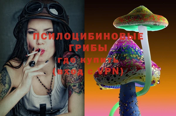 а пвп мука Гусев