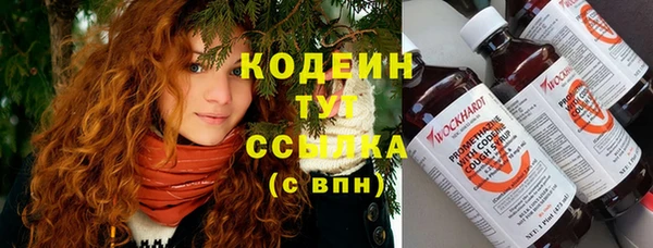 PSILOCYBIN Горно-Алтайск