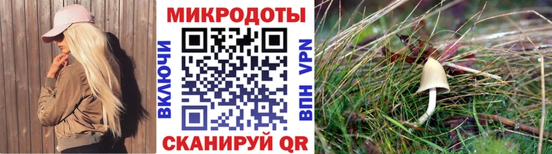 Псилоцибиновые грибы мухоморы  где купить наркоту  Енисейск 