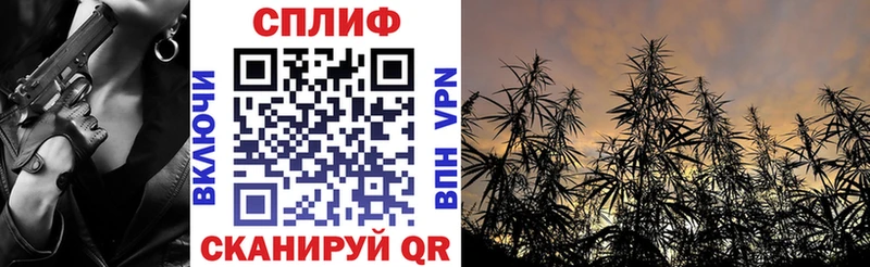 что такое   Енисейск  Шишки марихуана ГИДРОПОН 